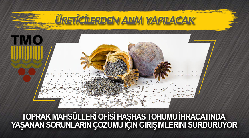 TMO: Üreticilerden alım yapılacak